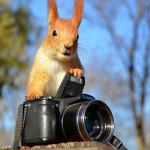 Конкурс фотографии к "Дню фотографа"