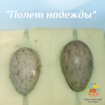 Участие в программе "Полет надежды"