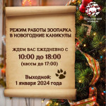 Режим работы в новогодние каникулы