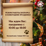 Режим работы зоопарка в Новогодние праздники