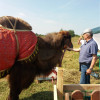 Выездная выставка зоопарка в Левцово!