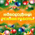 Режим работы зоопарка в Новогодние праздники