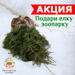 Акция "Подари елку зоопарку"