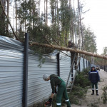 Устранение последствий природной стихии