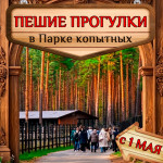 С 1 мая пешие прогулки в Парке копытных!