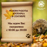 Внимание! С 1 сентября зоопарк работает с 10.00 до 20.00