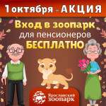 Акция ко Дню пожилого человека
