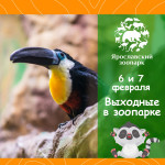 Выходные в зоопарке!