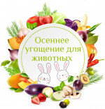 Осеннее угощение  для животных