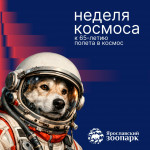 ️Неделя космоса в Ярославском зоопарке! 6–12 апреля 2026 года!