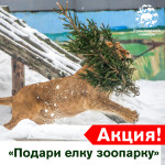 Акция "Подари елку зоопарку"