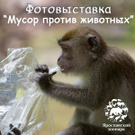 Открытие фотовыставки «Мусор против животных»!
