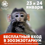 АКЦИЯ! Только два дня - 23 и 24 января 2026 года - посещение Зооэкзотариума БЕСПЛАТНОЕ
