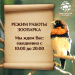 С 1 апреля 2026 года зоопарк работает с 10:00 до 20:00